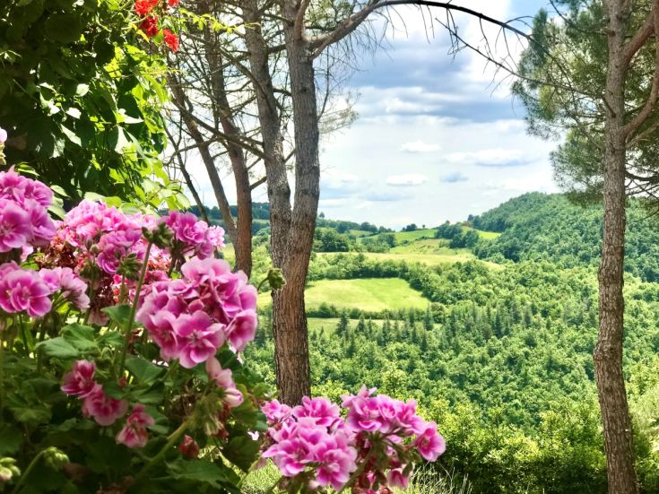 Scena della campagna umbra, con fiori e alberi verdi che arricchiscono il paesaggio.