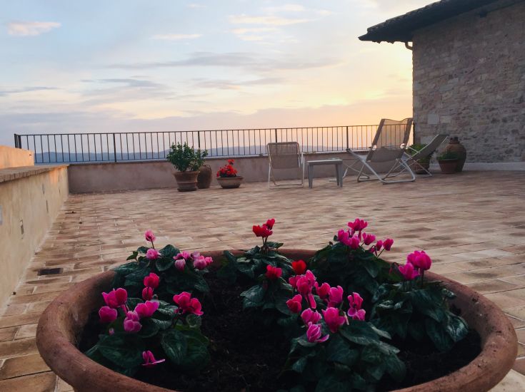 Spacious terrace adorned with flowering plants, perfect for relaxing moments at sunset.