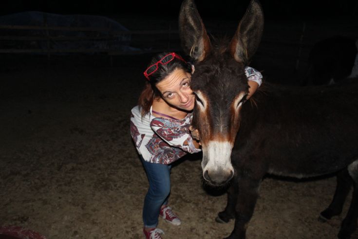 A heartwarming moment in Umbria, connecting with nature while interacting with a donkey in a peaceful setting.