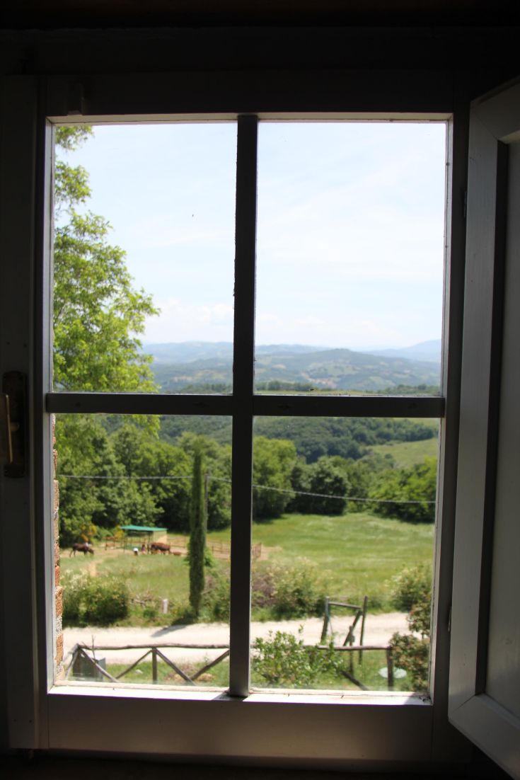 View from a window overlooking a green valley with trees and grazing animals.