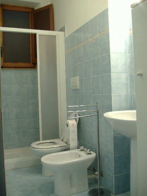 Bagno arredato con piastrelle blu e sanitari semplici.