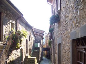 Strada in pietra tra edifici storici, circondata da fioriere, che trasmette un'atmosfera tranquilla.