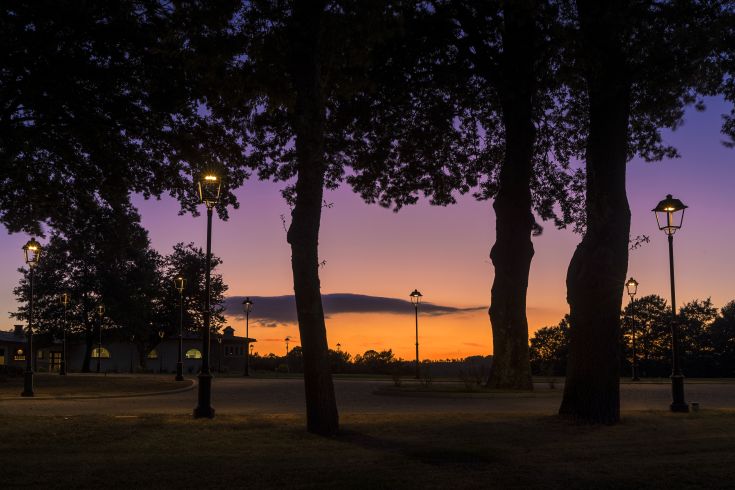 Un tramonto nel parco, incontro di luci calde e lampioni, alberi che incorniciano un viale tranquillo.