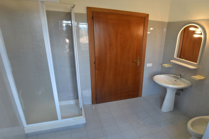 A simple bathroom with a shower and sink, located in a bright and comfortable environment.