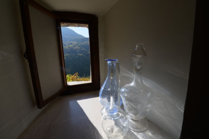 Light and transparency define glass containers on a windowsill, with a glimpse of the outside view.