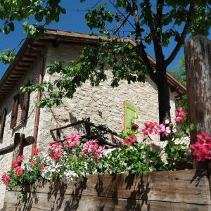 A building surrounded by a well-kept garden, featuring colorful flowers and a variety of lush green plants.