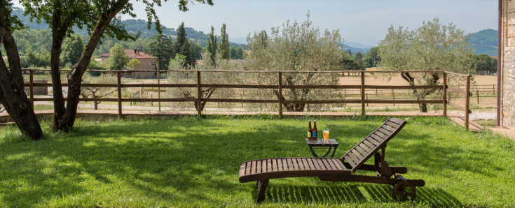 Un lettino posizionato in un contesto naturale tra gli ulivi, circondato da piante tipiche della campagna umbra.