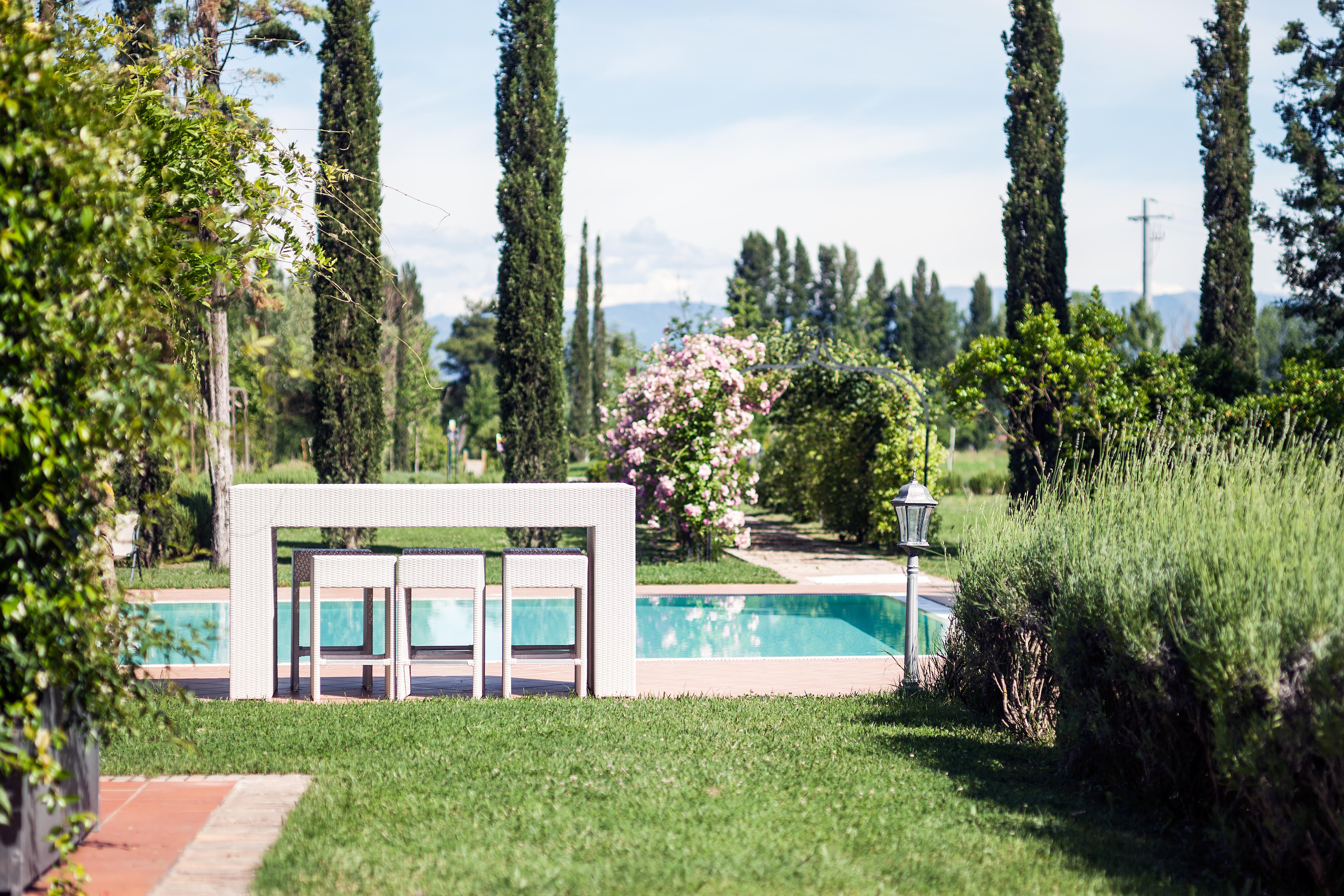 Un giardino con piscina, circondato da piante e alberi, perfetto per momenti di relax all'aperto.