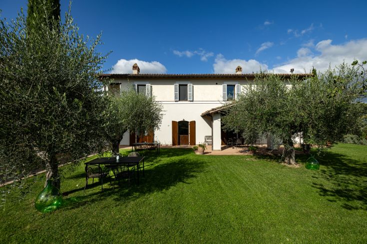 Farmhouse surrounded by olive trees, with a well-kept garden and open spaces for relaxation.
