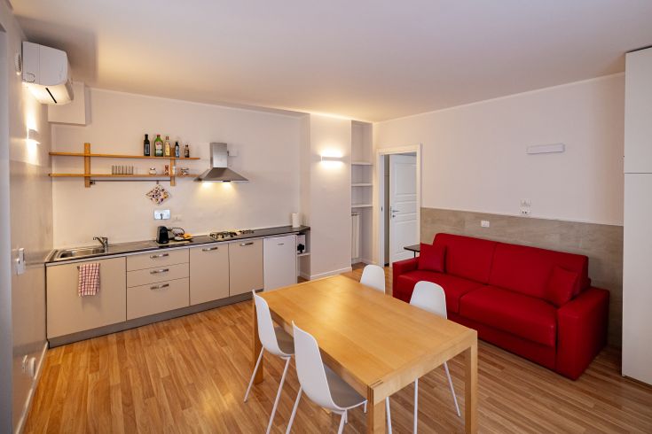  the flats have well-equipped kitchens 