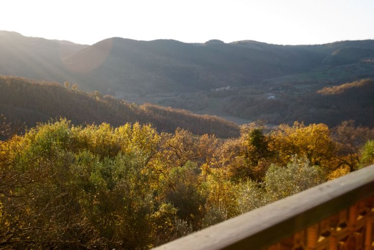 Blick auf ein herbstliches Tal mit warmen Farben der Bäume und Bergen im Hintergrund. Eine friedliche und natürliche Szene.