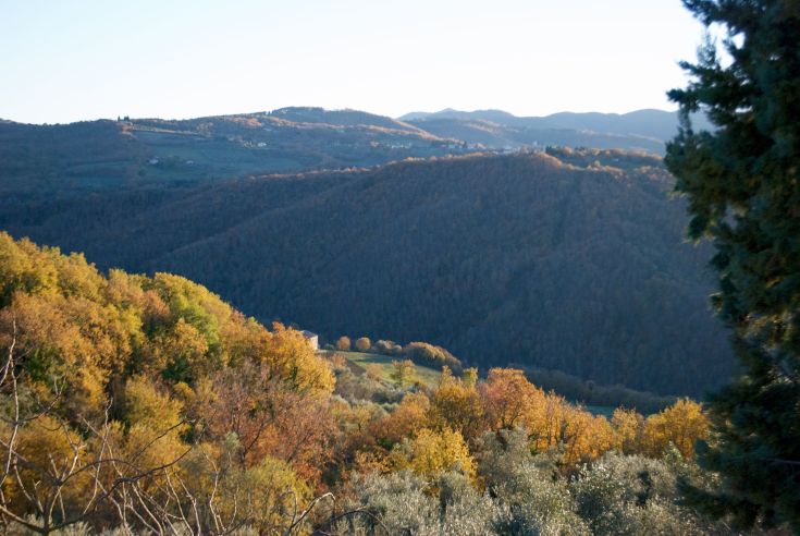 Herbstszene mit grünen Hügeln und Bäumen in warmen Tönen. Eine einfache und entspannende Landschaft.