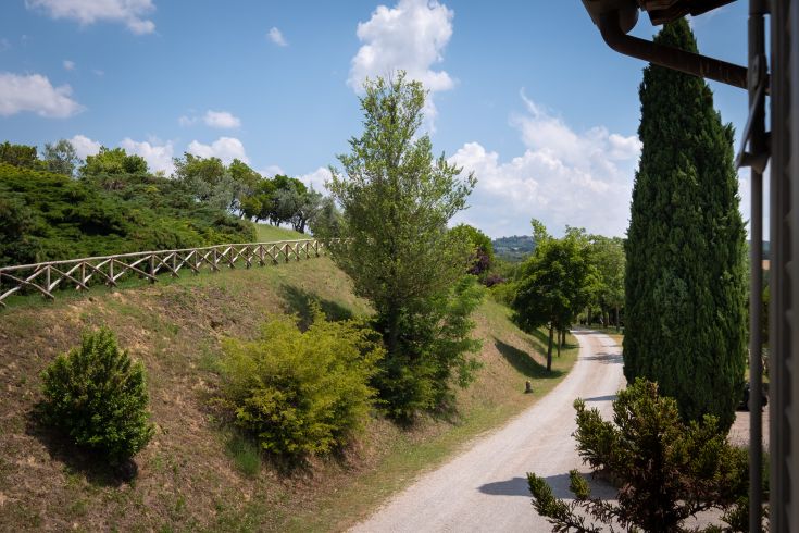 Une route de campagne paisible entourée d'arbres verts typiques de la région de l'Ombrie.