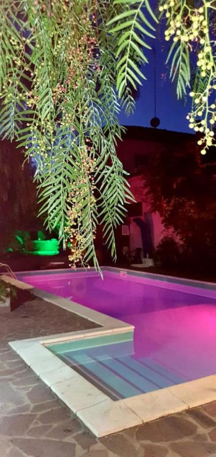 Eine ruhige Atmosphäre mit einem bei Sonnenuntergang beleuchteten Pool, umgeben von Pflanzen und Bäumen.