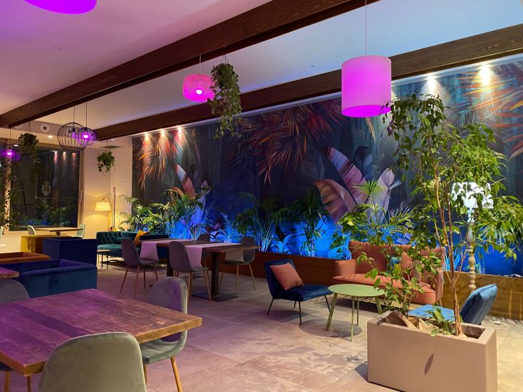 Un ambiente confortevole con piante e luci soffuse, dal design semplice e accogliente.