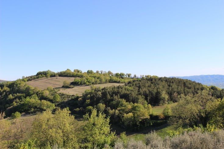 Szene von grünen Hügeln unter einem ruhigen Himmel, perfekt, um die Ruhe der Natur zu genießen.
