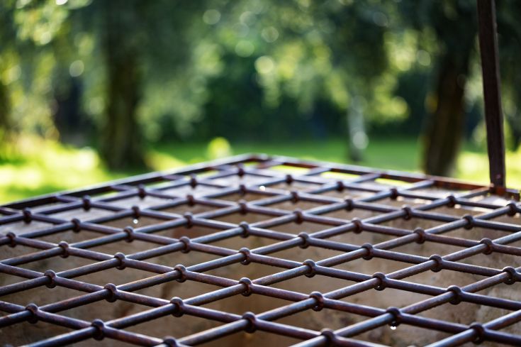 Detail of a metal grate surrounded by greenery, adding a touch of tranquility to the environment.