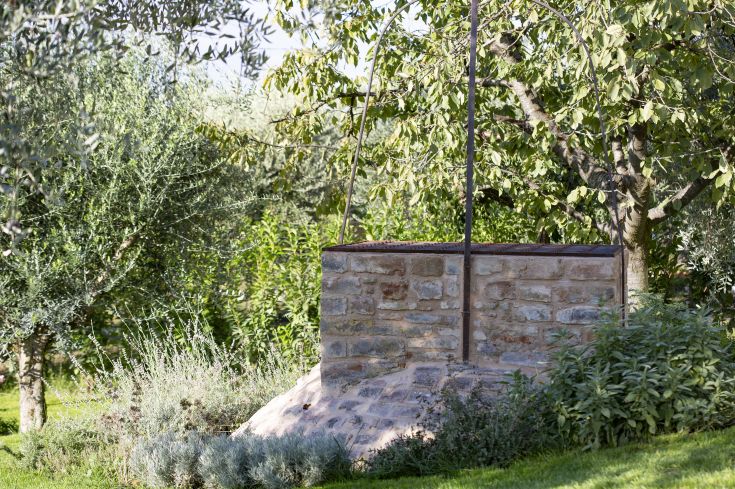 An ancient medieval well located in a garden surrounded by green and aromatic plants.