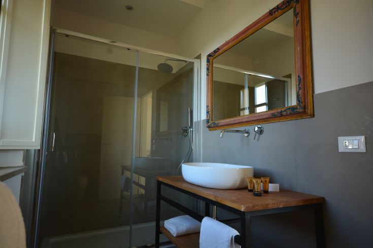 Modern bathroom with shower, white sink, and large mirror. A functional and comfortable space.