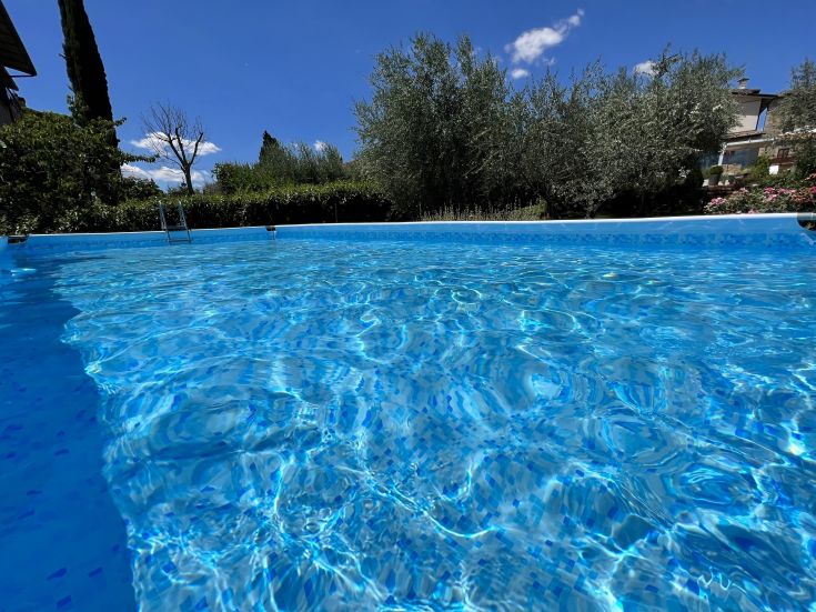 A clean pool nestled in a garden with olive trees, perfect for a relaxing moment.