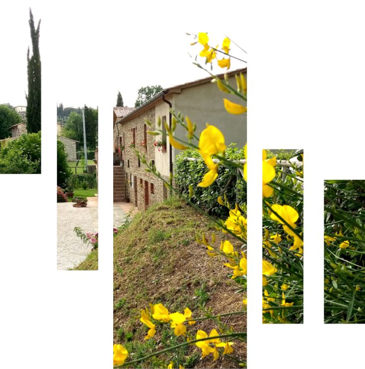 Farmhouse set in nature, featuring stone details and yellow flowers enhancing its appearance.