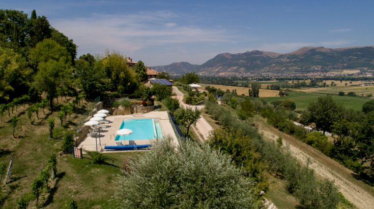 Struttura rurale con piscina circondata da vigneti e olivi, perfetta per momenti di relax nella natura.