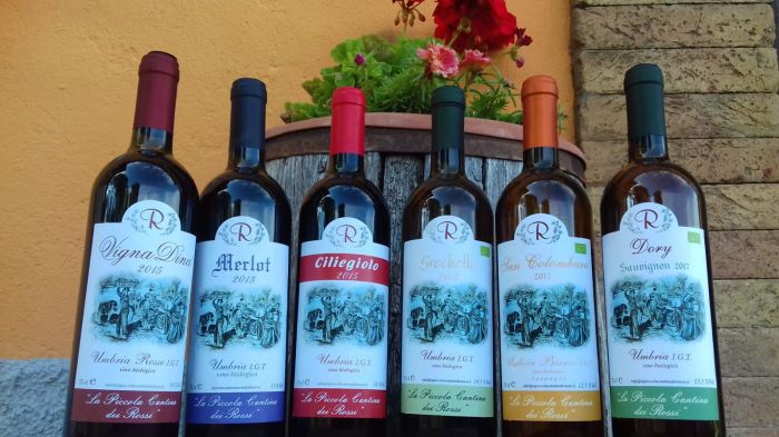 I vini bio-naturali in bottiglia
