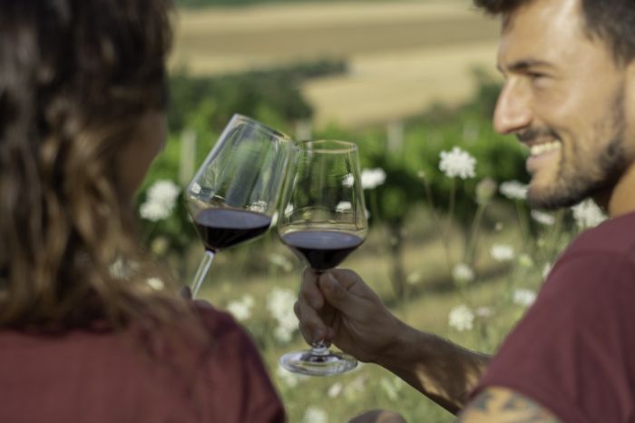 Brindisi nel vigneto.