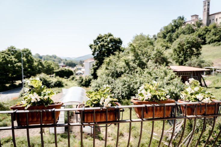 Balcone con piante variopinte e panorama sulla campagna verde.