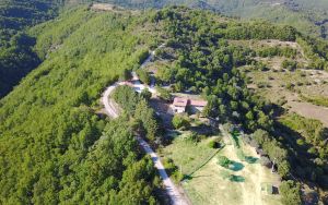 A farmhouse surrounded by greenery, perfect for moments of tranquility and outdoor activities.