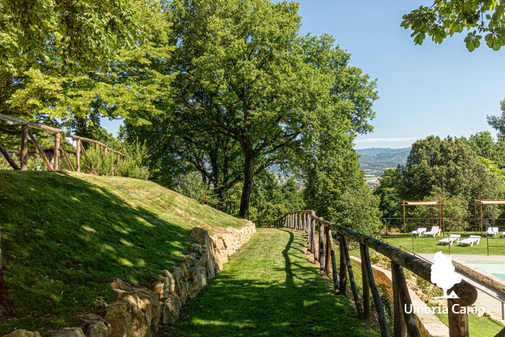 A winding path through green trees in a peaceful park, perfect for nature walks.