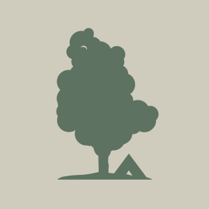 A large green tree next to a tent, evoking a relaxing atmosphere in nature.