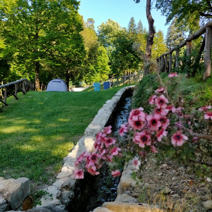 A green space with colorful flowers and a vast field, perfect for moments of tranquility and relaxation.