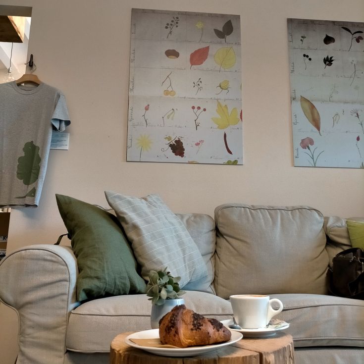 A simple, cozy corner with a sofa, subtle decorations, and a tray of croissants.