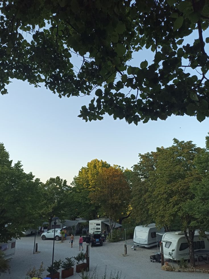 A serene campsite surrounded by trees, perfect for those seeking relaxation in nature.