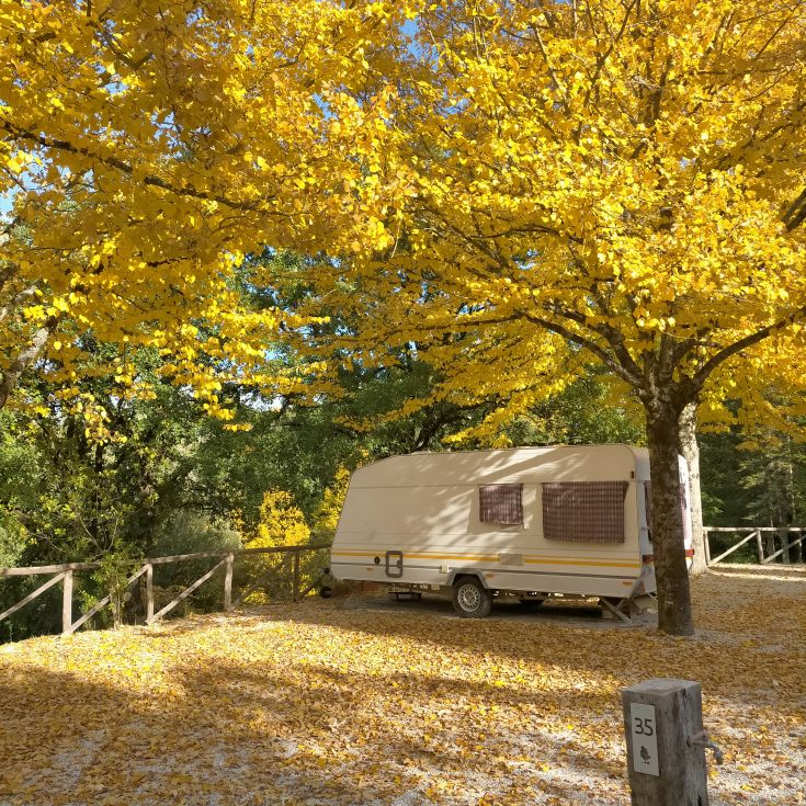 A simple camper nestled in nature, surrounded by trees with autumn colors.