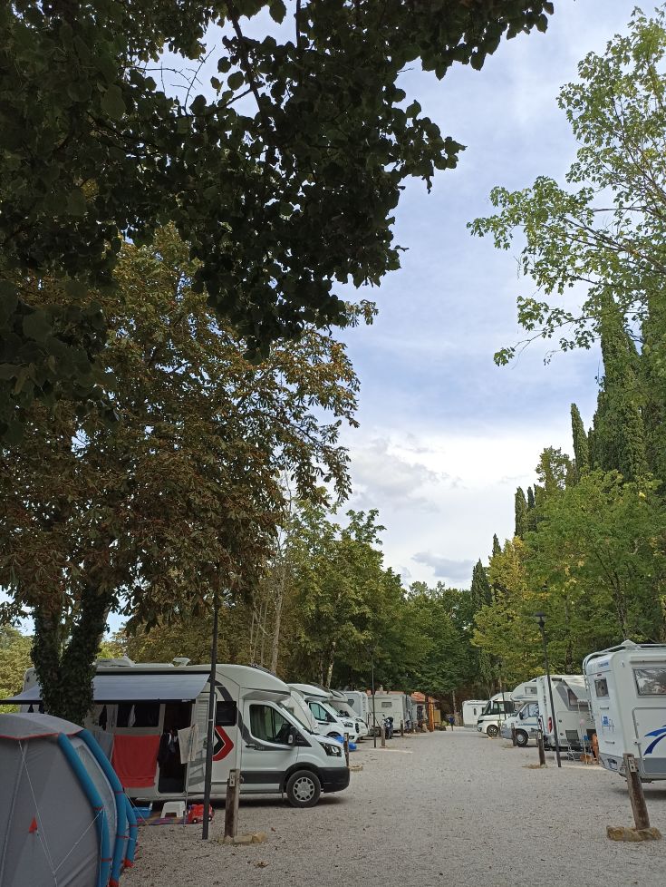 A row of trailers arranged in a park surrounded by trees and green grass.