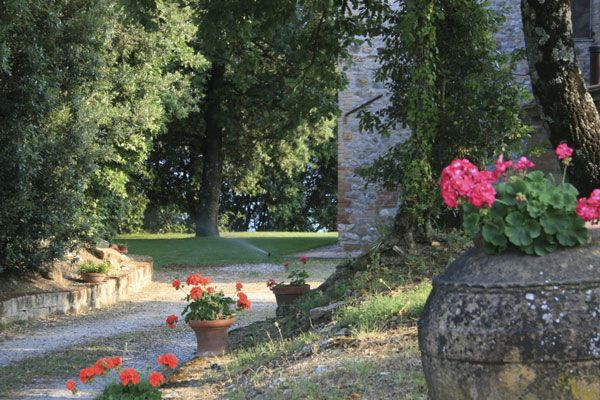 Un tranquillo giardino con vari fiori e piante, ideale per momenti di relax all'aperto.