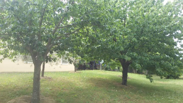 Dimora Quercia vi offre un parco giardino con la Quercia secolare, ulivi e angoli fioriti che affacciano sul panorama con sullo sfondo i Monti Sibillini e Martani che circondano la valle umbra. Il paesaggio tipico dell'Umbria.