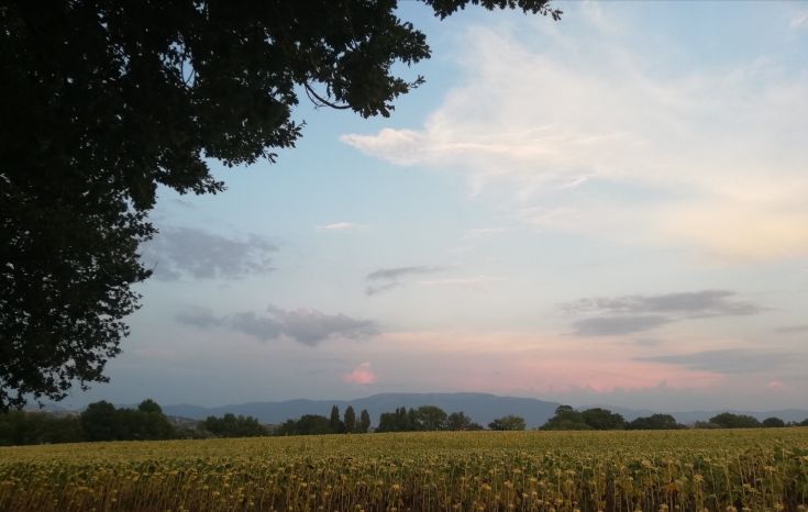 Dimora Quercia vi offre un parco giardino con la Quercia secolare, ulivi e angoli fioriti che affacciano sul panorama con sullo sfondo i Monti Sibillini e Martani che circondano la valle umbra. Il paesaggio tipico dell'Umbria.