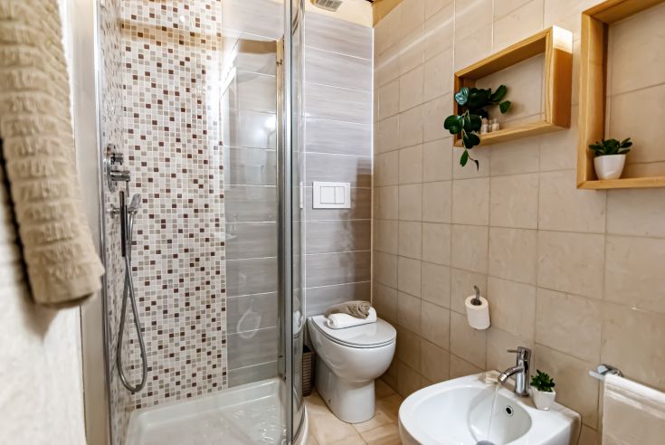 Simple bathroom interior with a shower, decorated with modern tiles and a few plants.