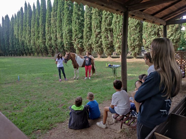 Attività di equitazione per bambini in un parco immerso nella natura.