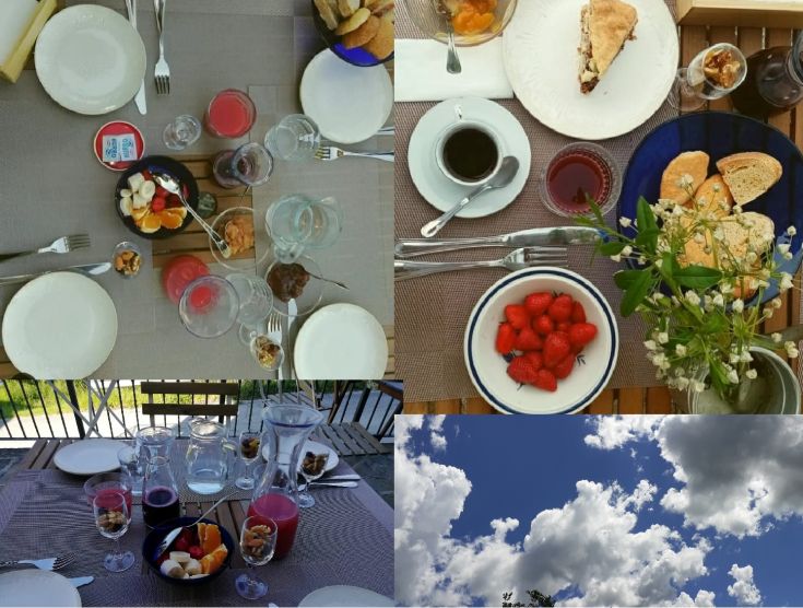 Breakfast outdoors at a farmhouse, featuring fresh and natural foods surrounded by greenery.