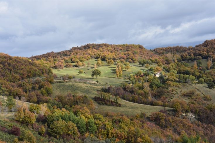 Autumn scene with hills, warm-colored trees, and a house nestled in nature.