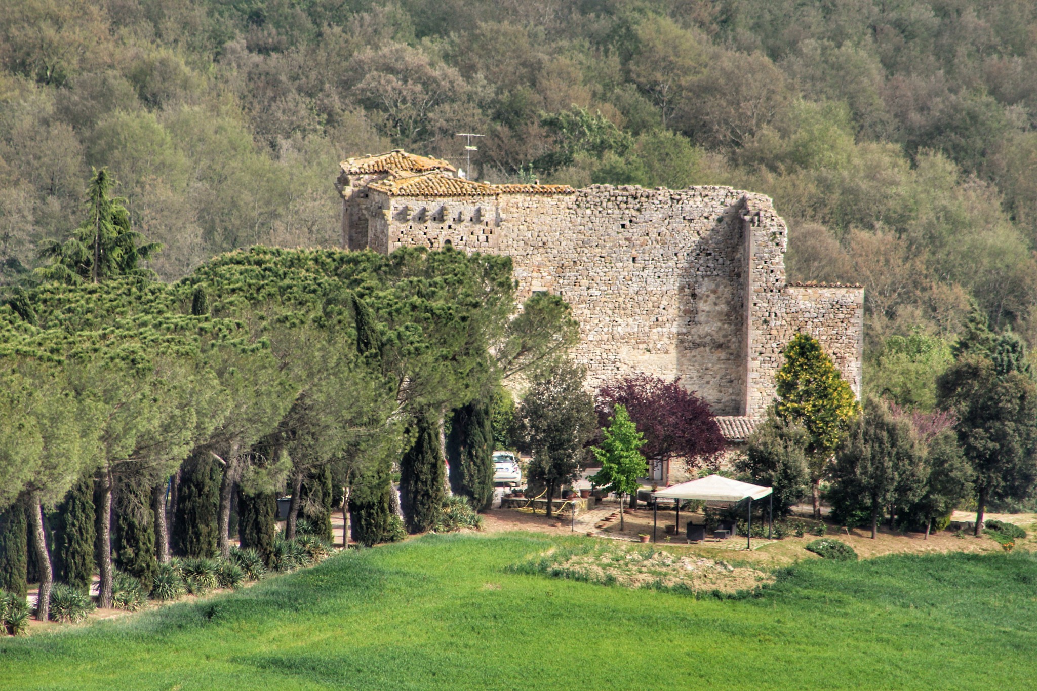 Titolo: CASTELLO DI BELFORTE