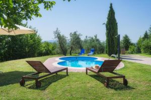 Ein ruhiger Außenbereich mit Pool, Liegen und Sonnenschirmen, umgeben von Bäumen und Pflanzen.