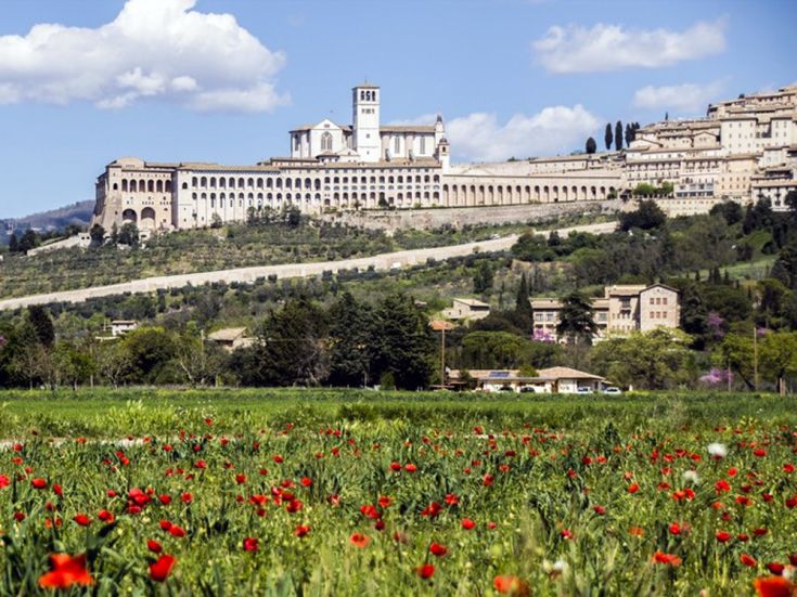 Panorama che mostra Assisi con fiori rossi in primo piano e un monastero sullo sfondo.