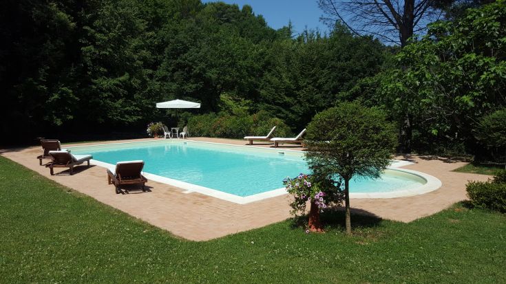 Swimming pool located in a green area, surrounded by vegetation and gardens.