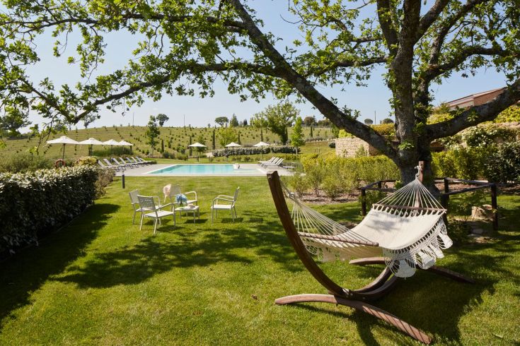 Uno spazio all'aperto con piscina circondato da ulivi, ideale per momenti di calma e relax.