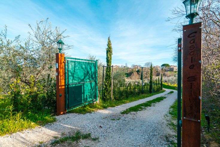 Der Eingang des Palastes ist von grün umgeben und schafft eine ruhige Atmosphäre zum Entspannen.